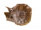Item:217281