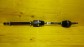 Item:217286
