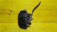 Item:217683