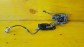 Item:217739