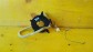 Item:217778