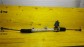 Item:217976