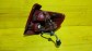 Item:218034