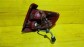 Item:218034
