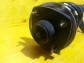 Item:218246