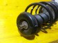 Item:218314