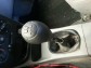 Item:220497