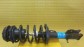 Item:220646