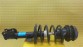 Item:220646