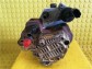 Item:224534