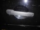 Item:225670
