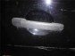 Item:225670