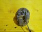 Item:225721