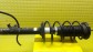 Item:226166