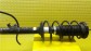 Item:226166