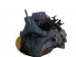 Item:226219