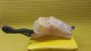 Item:227581