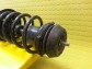 Item:228303