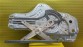 Item:228581