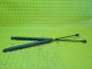 Item:229696