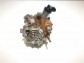 Item:344946