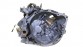 Item:231641