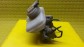 Item:231900