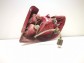 Item:234907