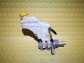 Item:235245