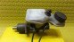 Item:236277