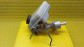 Item:236463