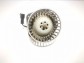 Item:237075