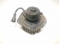 Item:237075