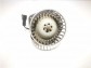 Item:237075