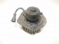 Item:237075