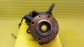 Item:237181