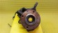 Item:237181