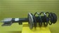 Item:237279