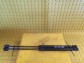 Item:238257