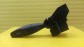 Item:239379