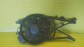 Item:239510
