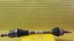Item:239537