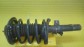 Item:240021