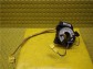 Item:240696
