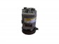Item:242330