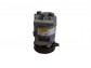 Item:242330