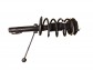 Item:242386