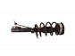 Item:242386