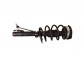 Item:242386