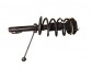 Item:242386